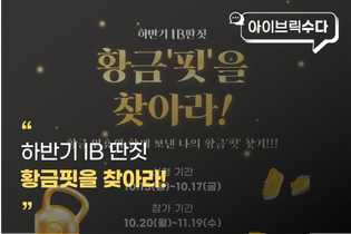 [하반기 IB딴짓] 아이브릭스의 잃어버린 '황금핏'을 찾아서!🔑